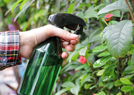 El espray cosmético del jardín del hogar embotella las botellas vacías del espray de perfume