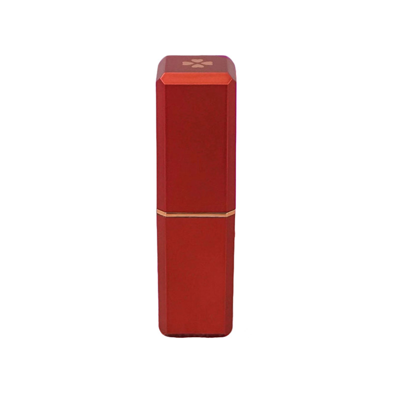 Embalaje cosmético de paja de trigo Tubos de lápiz labial con logotipo y tapa personalizables